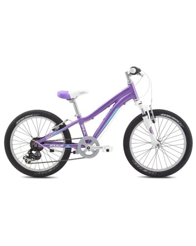 Dağ velosipedi Fuji Dynamite 20