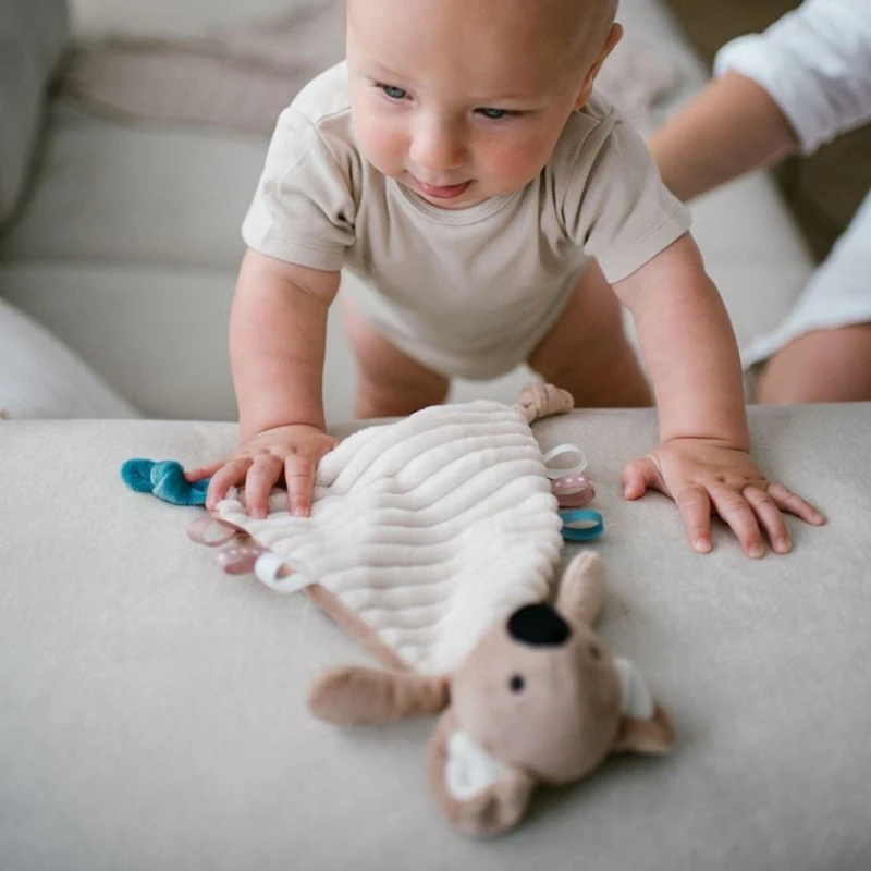 Игрушка-обнимашка Babyono Koala Charlie, текстиль, бежевая, 25х25 см Игрушка-обнимашка Babyono Koala Charlie, текстиль, бежевая, 25х25 см