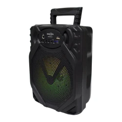 Портативная колонка GTS GTS-1517