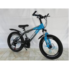 Uşaq velosipedi, Çin, 2 təkər, ölçü 20, su qabı, duraliminium pedal - BB-651