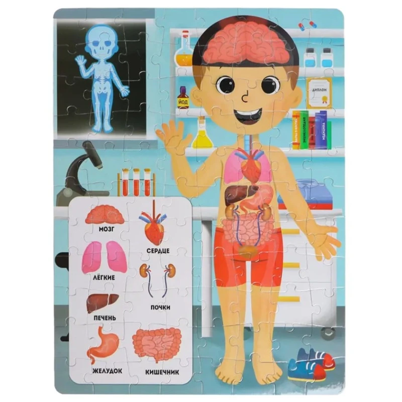 İşıqlı pazl Puzzle Time «Rentgen kabineti», 3+ yaş