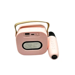 Portativ dinamik BD-108