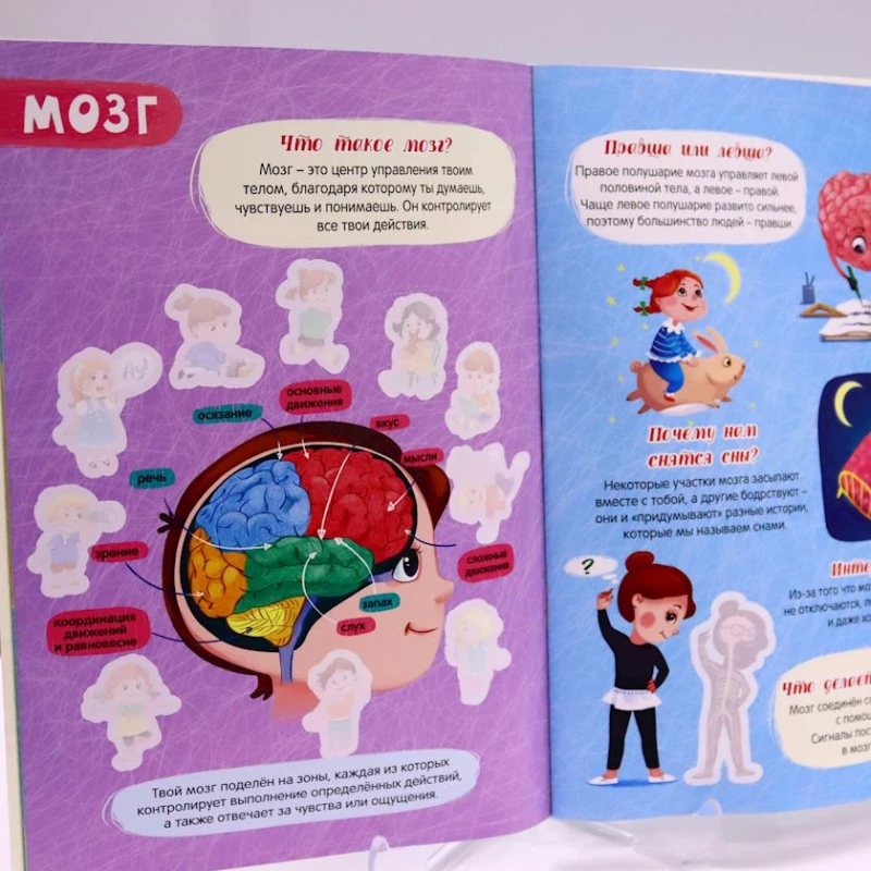 Kitab Проф-Пресс Атлас тело человека с наклейками Kitab Проф-Пресс Атлас тело человека с наклейками