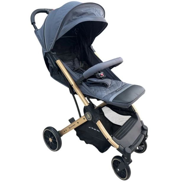 Uşaq arabası Ayhan Kids_41-100, boz