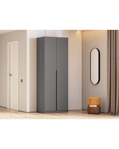 Şkaf Art Mebel Art-100-36, boz, 210х100х50 sm