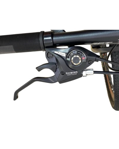 Dağ velosipedi Saft M1157, 24