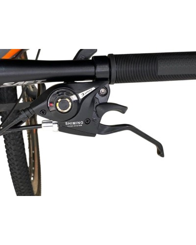 Dağ velosipedi Saft M1157, 24