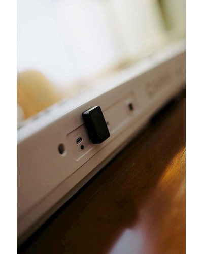 Bluetooth adapter Casio WU-BT10