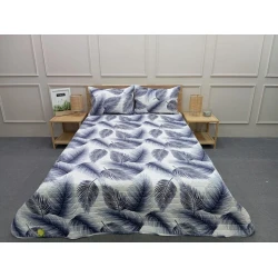 Örtük və yastıq üzü dəsti Moonstar SHA-00006468, avro, örtük 220x240 sm, yastıq üzü 50x70 sm, 2 əd