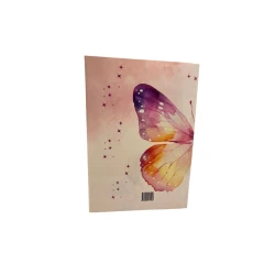 Планер Бабочка, А5 Планер Бабочка, А5