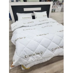 Комплект MiraNova FS-511, бамбук, белый, матрас 180х200 см, одеяло 195х215 см, подушка 50х70 см Комплект MiraNova FS-511, бамбук, белый, матрас 180х200 см, одеяло 195х215 см, подушка 50х70 см