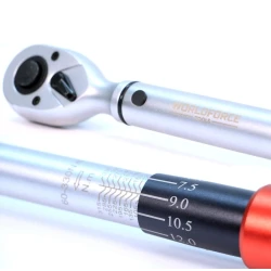 Şalbanbaşı açar Worldforce 11484, 1/2