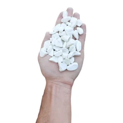 Декоративные камни F35-ag-302, белые, 1-2 см, 1 кг Декоративные камни F35-ag-302, белые, 1-2 см, 1 кг