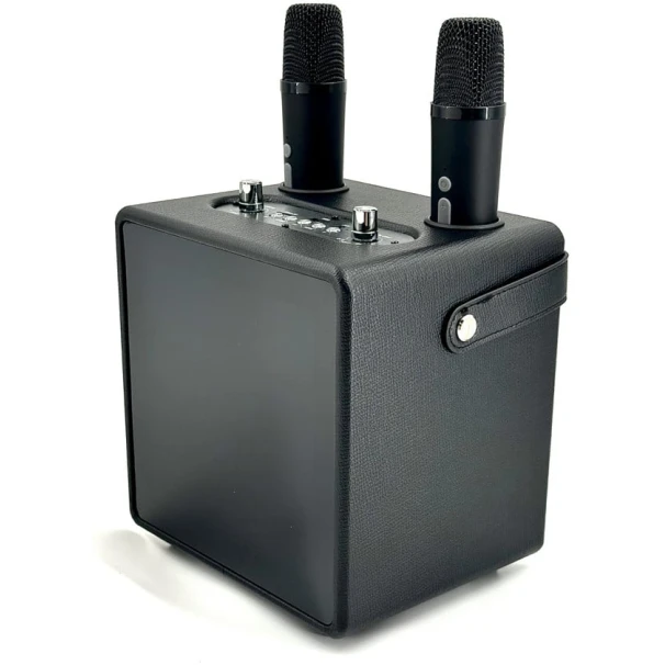 Portativ dinamik KLGO KBQ-2406 Karaoke