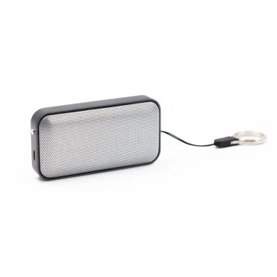 Portativ dinamik Nano Lite BC53485