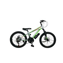 Dağ velosipedi BMX2002YSL, boz/yaşıl