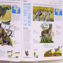 Книга Проф-Пресс Энциклопедия. Саванны