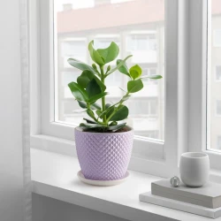 Горшок для растений IKEA Palsternacka, 15 см, светло-сиреневый