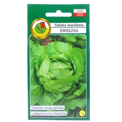 Семена овощей PNOS Салат maslowa Ewelina 1 г