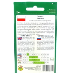 Семена овощей PNOS Салат maslowa Ewelina 1 г