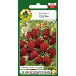 Семена овощей Клубника Regina 0.5 г