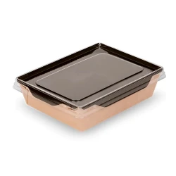 Одноразовые контейнеры для салата Loyal-9352830680, 100 шт, коричневые Одноразовые контейнеры для салата Loyal-9352830680, 100 шт, коричневые