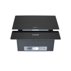 Aspirator Gastro D60C2