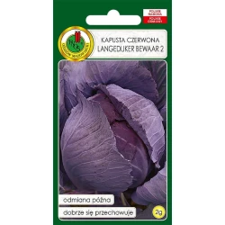Семена овощей Краснокочанная капуста Langedijker Bewaar 2, 2 г
