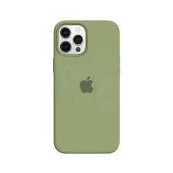 Чехол для Apple iPhone 12 Pro Max Pastel Green