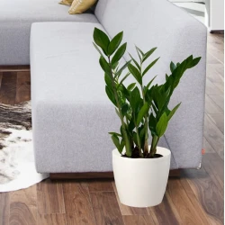 Горшок Lamela Magnolia 13 cм, пластик, белый