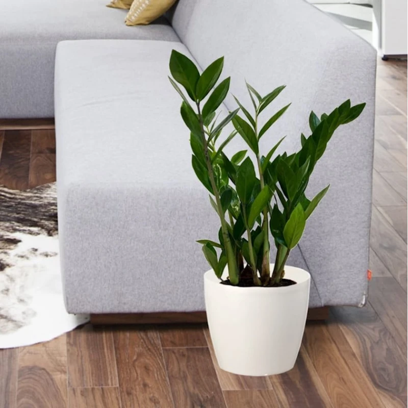 Горшок Lamela Magnolia 13 cм, пластик, белый