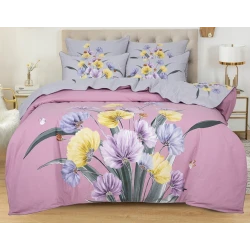 Yataq dəsti Артпостель Аэлита, yorğan üzü 200x220 sm, mələfə 260x240 sm, yastıq üzü 50x70/70x70 sm, avro, velür, boz/bənövşəyi