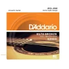 Набор струн для акустической гитары D’Addario 010-050 EZ900