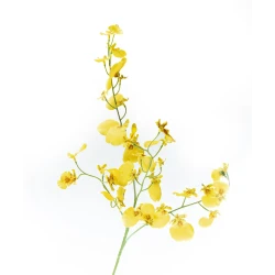 Искусственный цветок Hom-me 102911 Орхидея, 80 см, желтый