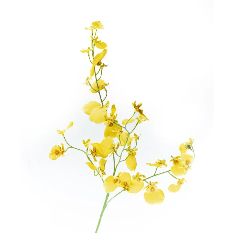 Искусственный цветок Hom-me 102911 Орхидея, 80 см, желтый Искусственный цветок Hom-me 102911 Орхидея, 80 см, желтый