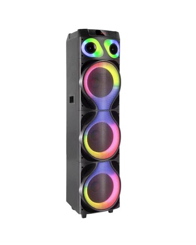 Portativ dinamik MT-1222