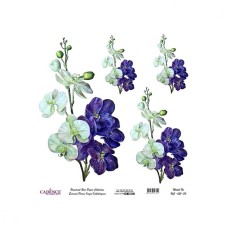 Dekupaj üçün universal düyü kağızı Cadence 30x32, UC-021-30