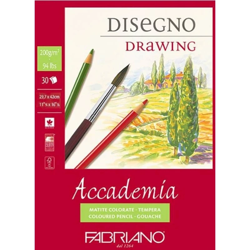 Склейка Fabriano Accademia Drawing для рисунка, А3, 200г, 29.7х42см, 30 листов Склейка Fabriano Accademia Drawing для рисунка, А3, 200г, 29.7х42см, 30 листов
