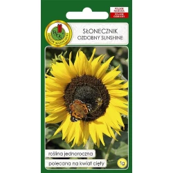 Семена цветов PNOS Подсолнух декоративный Sunshine 1 г