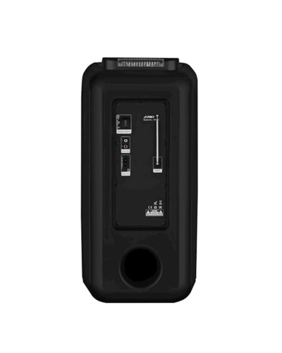 Portativ dinamik F&D PA926