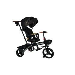 Детский трехколесный велосипед TL968_RB_210967, черный