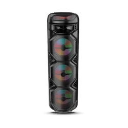 Portativ dinamik ZQS8301