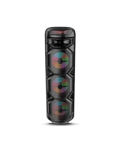 Portativ dinamik ZQS8301
