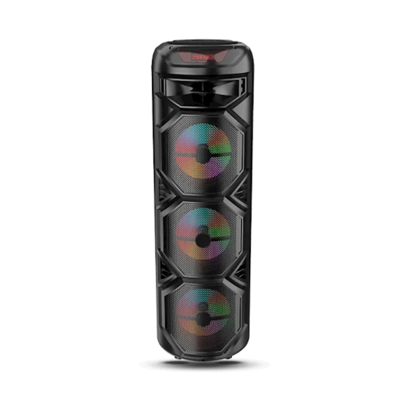 Portativ dinamik ZQS8301