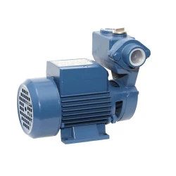 Su nasosu Bramex WKS60-1 (TM.25900)