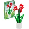 Bir qabda Zuanma Konstruktor Çiçəkləri: Amaryllis