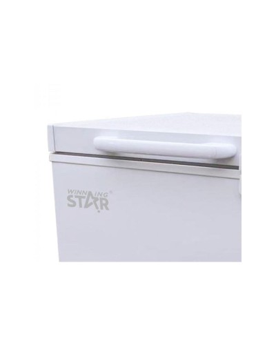 Dondurucu qutu Winning Star ST-BD-108L