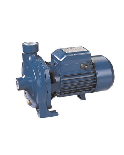 Su nasosu Bramex WCP130-CP