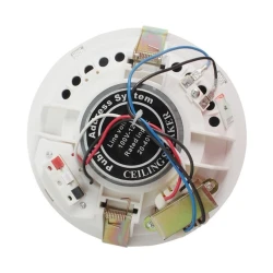 Акустическая система Kacaudio Model 704