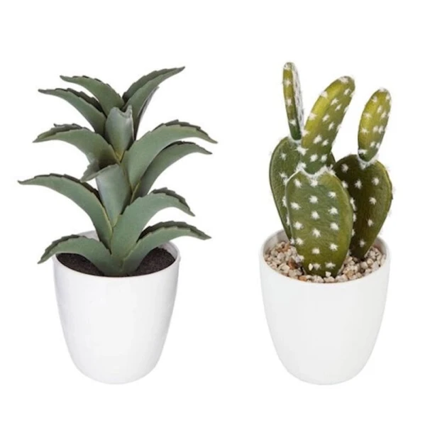 Декоративное растение, 18 см, товар в ассортименте Декоративное растение, 18 см, товар в ассортименте